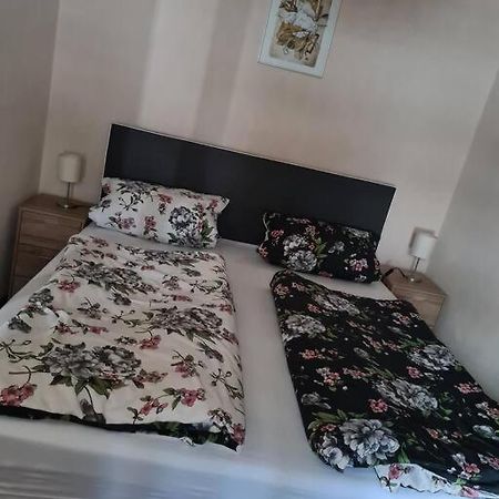 Gemuetliche Ferienwohnung Am Waldrand Elgersburg Eksteriør billede