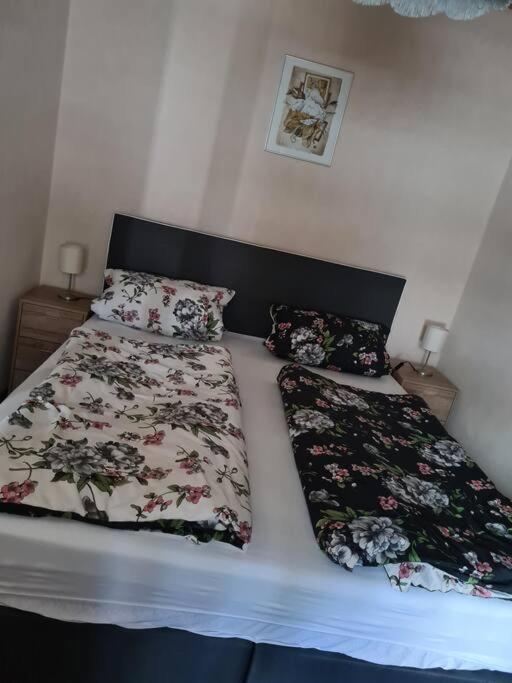 Gemuetliche Ferienwohnung Am Waldrand Elgersburg Eksteriør billede